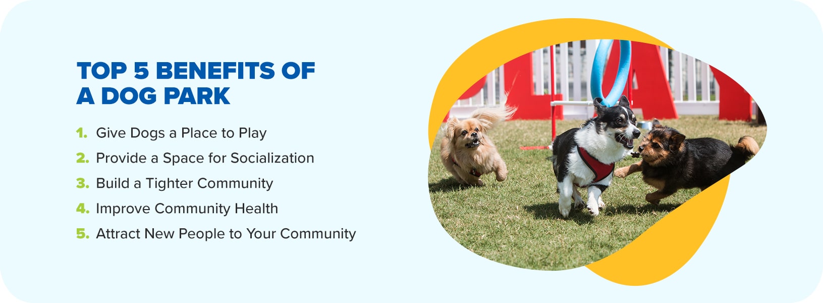 Benefits of Dog Parks